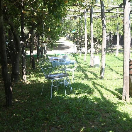 Ferienwohnung Emy'S Country House Castellammare di Stabia Exterior foto
