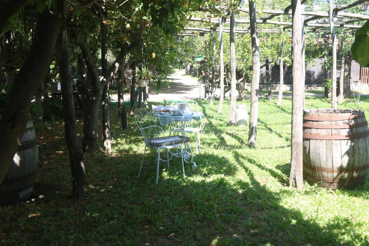 Ferienwohnung Emy'S Country House Castellammare di Stabia Exterior foto