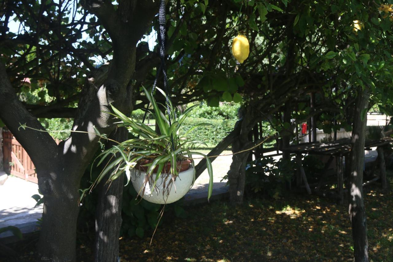 Ferienwohnung Emy'S Country House Castellammare di Stabia Exterior foto